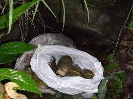 Militant Hideout Uncovered in Poonch; Six Grenades Recovered