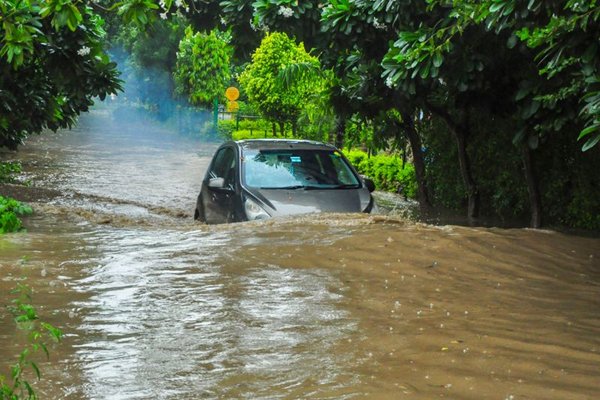 Heavy Rainfall Disrupts Life Across Northern India; Several Dead and Injured