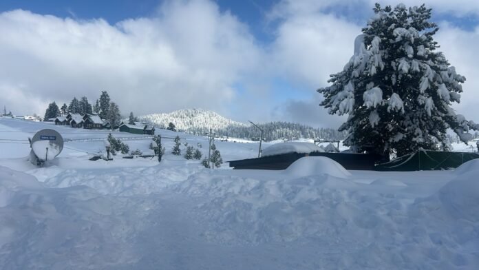 Kashmir Shivers as Sub-Zero Night Temperatures Persist; Chilla-i-Kalan Nears End