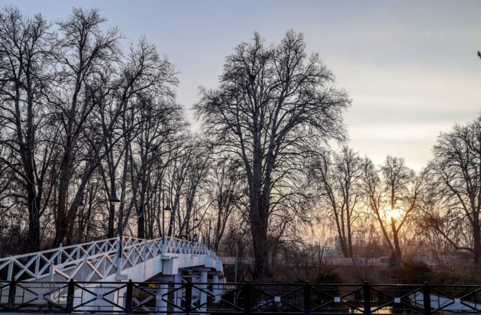 daily-Life-01-696x456