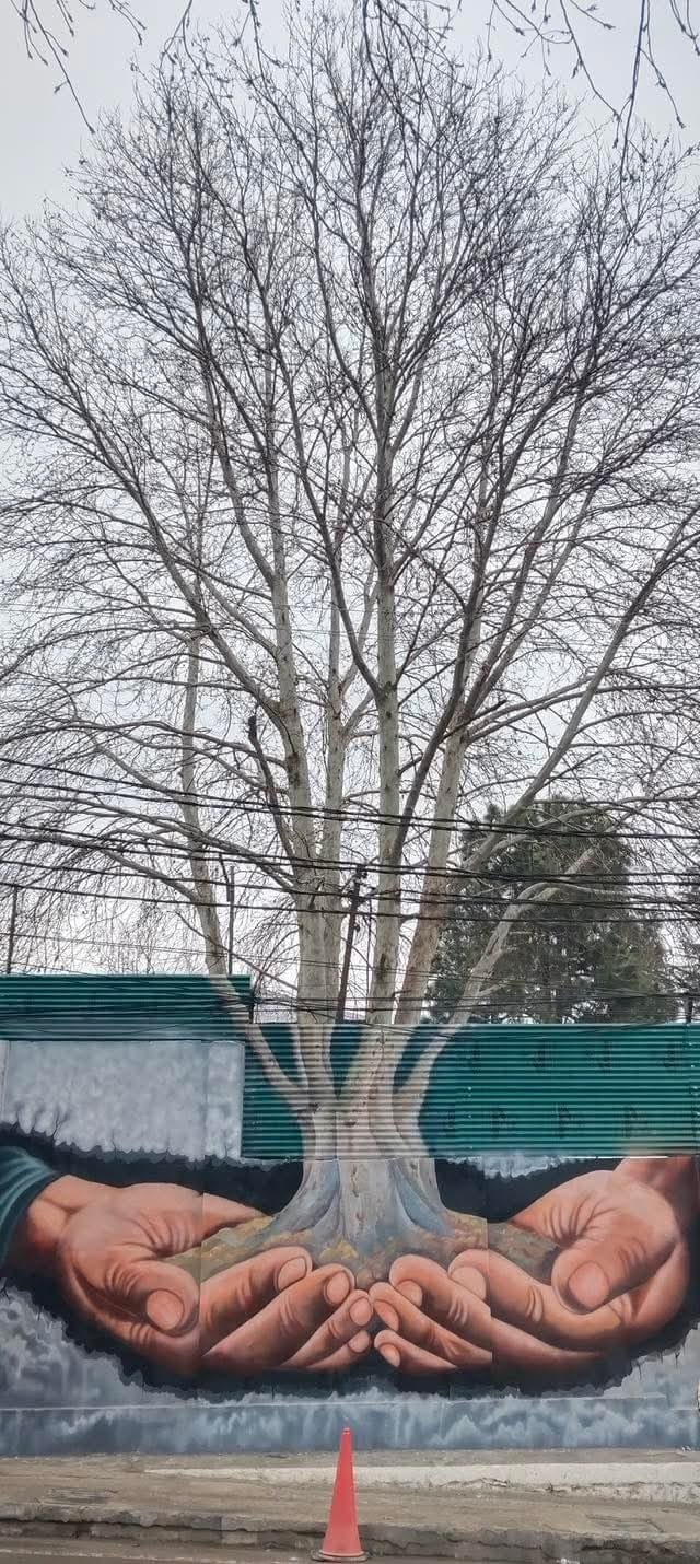 From Walls to Hearts: Doda’s Paintings Inspire Environmental Responsibility