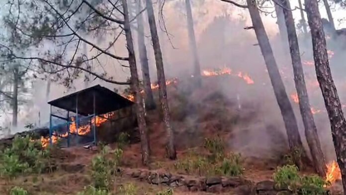 FIRE-3-768x432